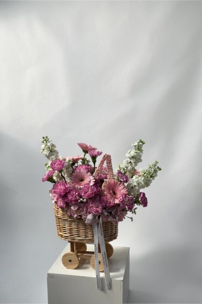 Baby Cradle Princess Pink